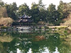 -西湖外事游船(花港观鱼码头)