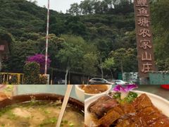 -鲤鱼塘农家山庄