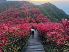 -大围山国家森林公园