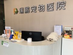 -瑞鹏宠物医院·骨科·猫科·内科(第一中心)