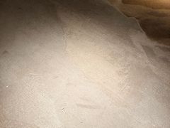 -上海佘山世茂艾美酒店