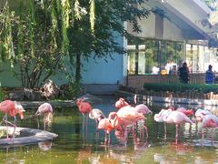 -石家庄市动物园