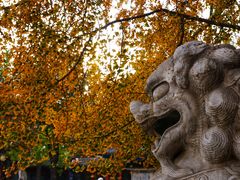 -北京石刻艺术博物馆(五塔寺)