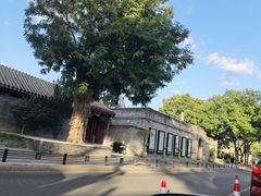 -点绛唇(鼓楼店)