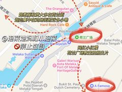 -马六甲鸡场街