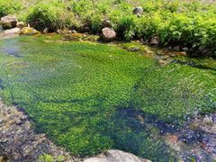 -玉渡山自然风景区