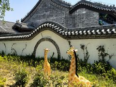 -天平湖公园