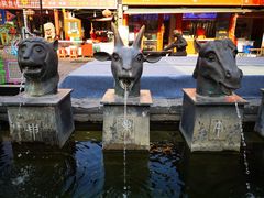 -屈礼洪