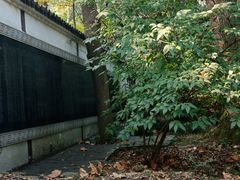 -穹窿山景区