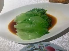 白灼生菜-维园悦谱·海派家常菜(乌鲁木齐南路店)