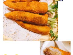 -丁老爷子苏香圆