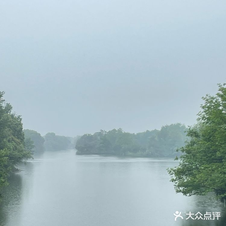 西溪湿地旅游团大自然的雨后韵味