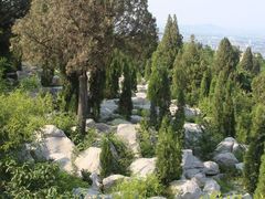 -原山国家森林公园