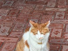 -朱富贵火锅(金融街万达店)