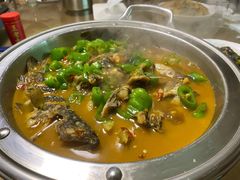 千岛野娇娇-全乐鱼馆·淳牌有机鱼直营店