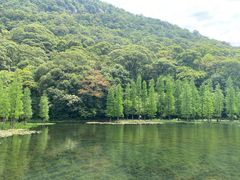 -广州市石门国家森林公园