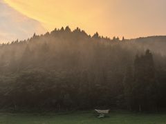 -武陵山森林公园
