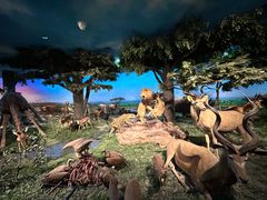 -国家自然博物馆