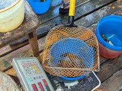 -蓝湾碧波·老字号·疍家非遗海上餐厅
