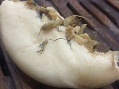 iphone_upload_pic-石头门坎