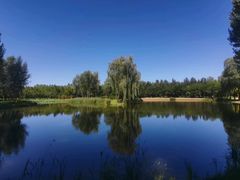 -东郊湿地公园