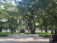 -北京市劳动人民文化宫(太庙)