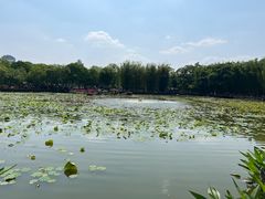 -翠湖公园