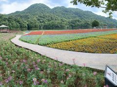 -广州市石门国家森林公园