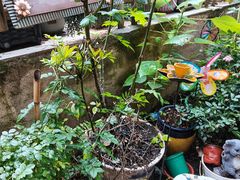 -鱼乐岛餐厅·户外花园主题餐厅