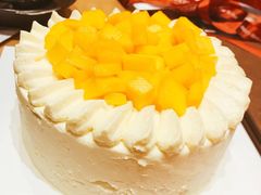 -维尔纳斯·生日蛋糕·动物奶油冰淇淋蛋糕(六里桥店)