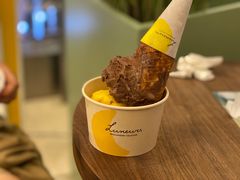黑巧克力冰淇淋-LUNEURS月乐诗 冰淇淋咖啡(环贸店)