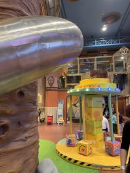 -卡通尼·Safari非洲探索乐园·生日会(金桥国际商业广场店)