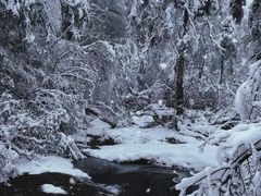 -龙苍沟森林公园
