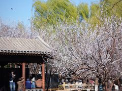 -三里河公园
