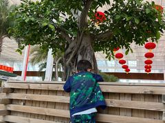 -天津东丽湖风景区