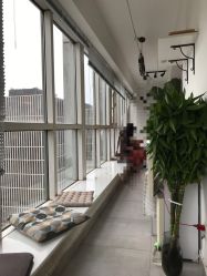 -净漪造型 PURE RIPPLE