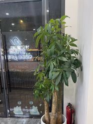 -苗方清颜专业祛痘·皮肤管理