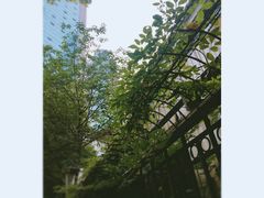 -喷泉公园