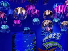 -欢乐海岸海洋奇梦馆