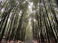 -会稽山峡洞漂流-上青古道