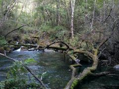 -叠溪松坪沟景区