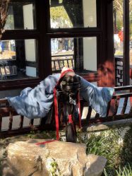 -一揽芳华汉服旗袍体验馆(拙政园店)