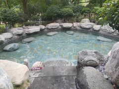 -英德宝晶宫天鹅湖茶语温泉