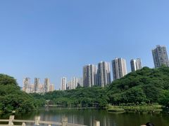 -重庆彩云湖湿地公园