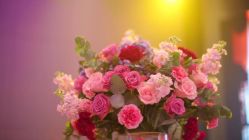 -IDOI婚礼策划·IDOIWEDDING