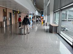 -青岛胶东国际机场