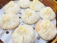 -莱莱小笼·乔艾