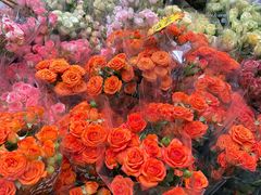 -循礼门鲜花花市(武汉循礼门店)