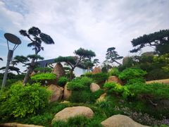 -罗红摄影艺术馆