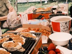 -TIPPI营地 房车主题·露营烧烤团建轰趴(天安假日店)